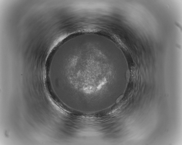 X0000094220726200710261229