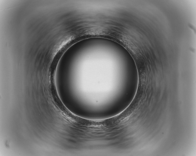 X0000094220727200710261229