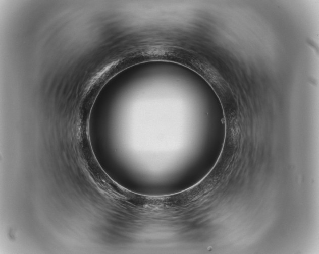 X0000094220728200710261229