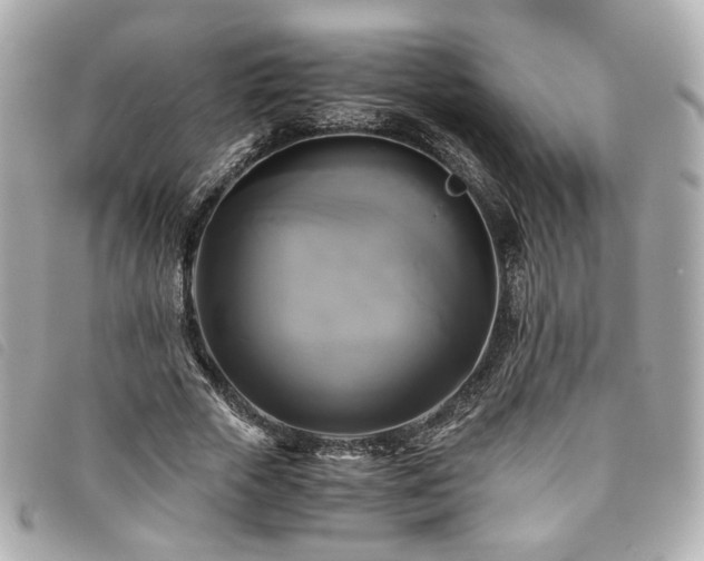 X0000094220729200710261229