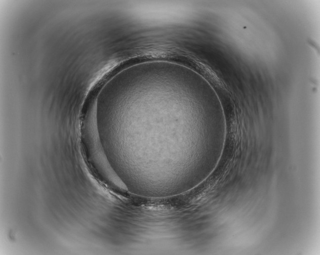 X0000094220730200710261229