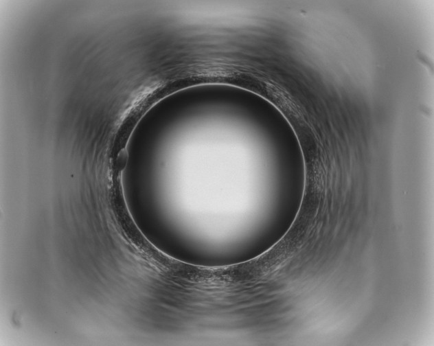 X0000094220731200710261229