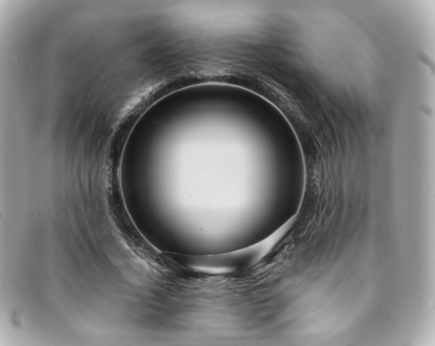 X0000094220732200710261229