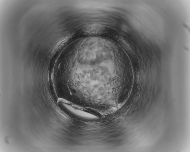 X0000094220733200710261229