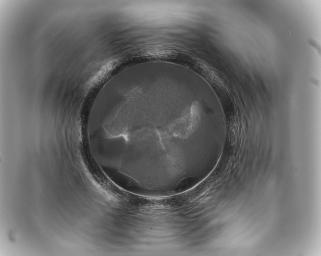 X0000094220734200710261229