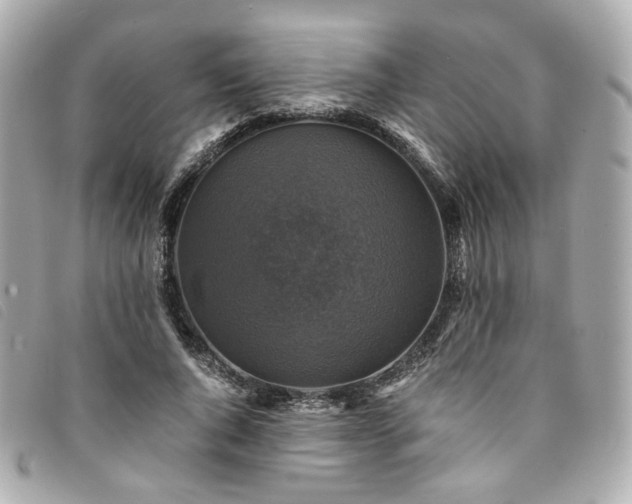 X0000094220736200710261229
