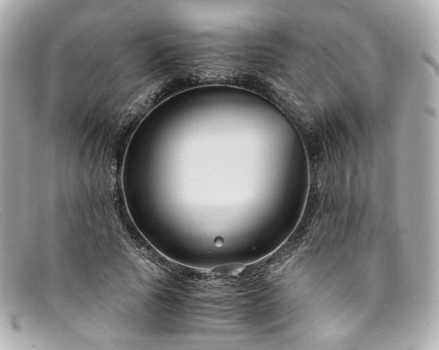 X0000094220737200710261229