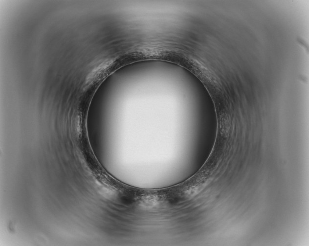 X0000094220740200710261229