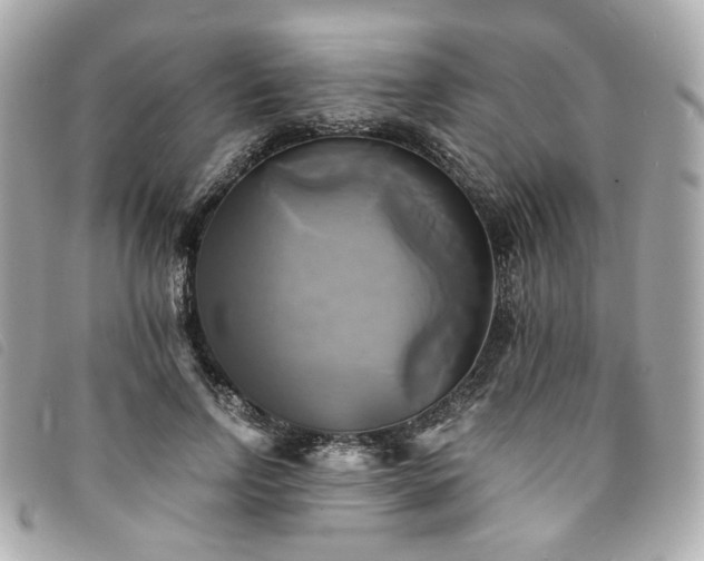 X0000094220742200710261229