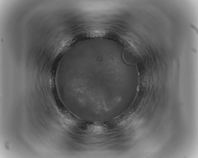 X0000094220743200710261229