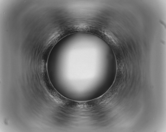 X0000094220744200710261229