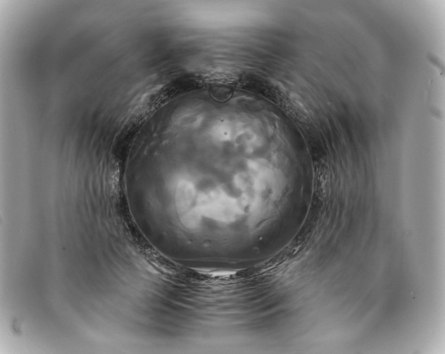 X0000094220745200710261229