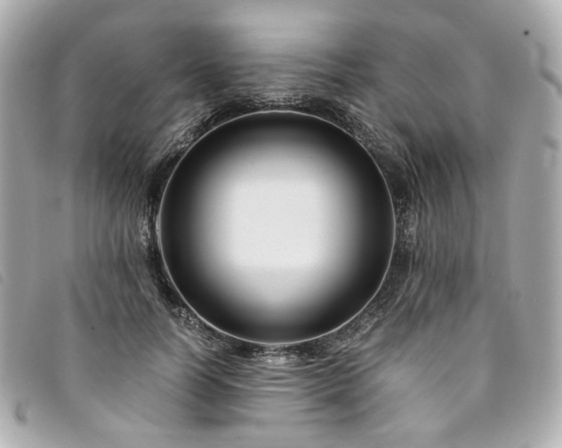 X0000094220746200710261229