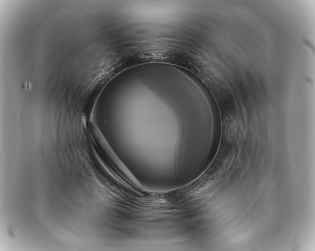 X0000094220747200710261229