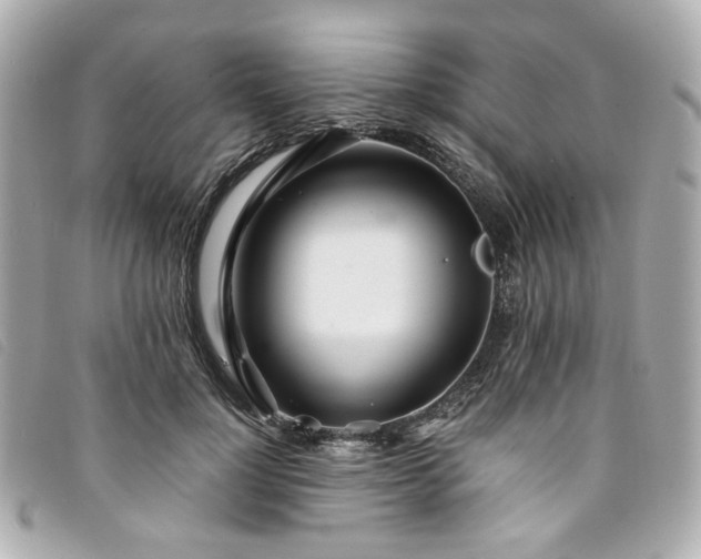 X0000094220748200710261229