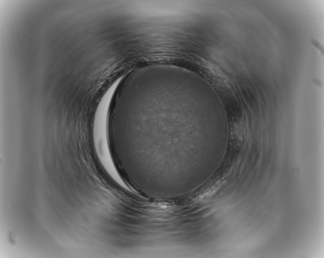 X0000094220751200710261229