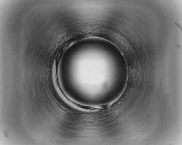 X0000094220752200710261229