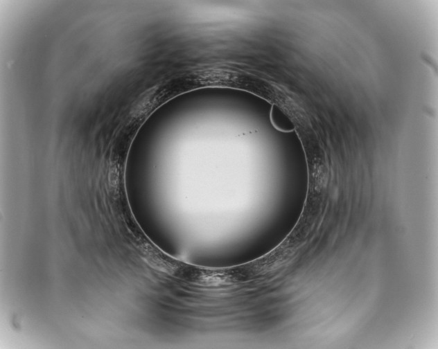 X0000094220753200710261229