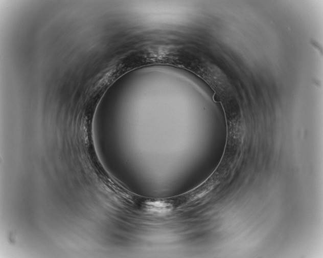 X0000094220754200710261229