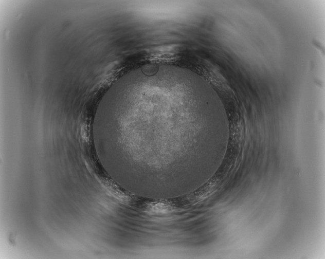 X0000094220755200710261229