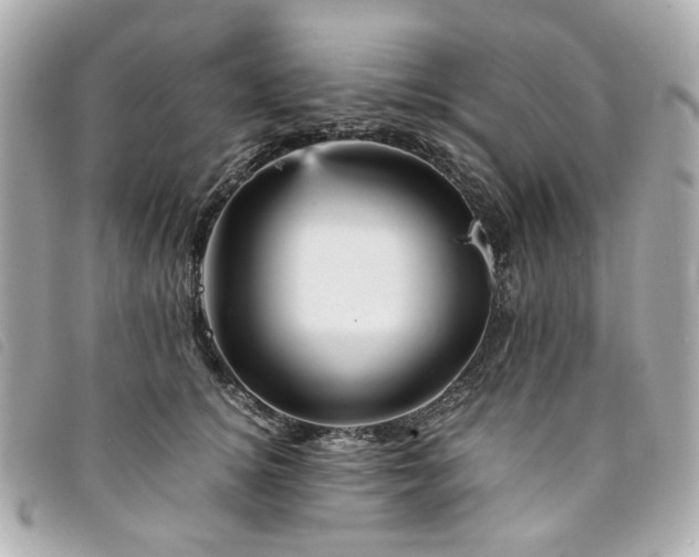 X0000094220756200710261229