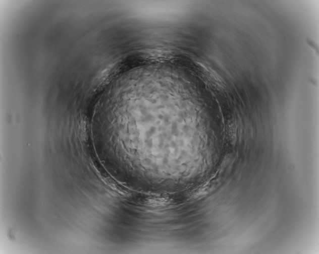 X0000094220757200710261229
