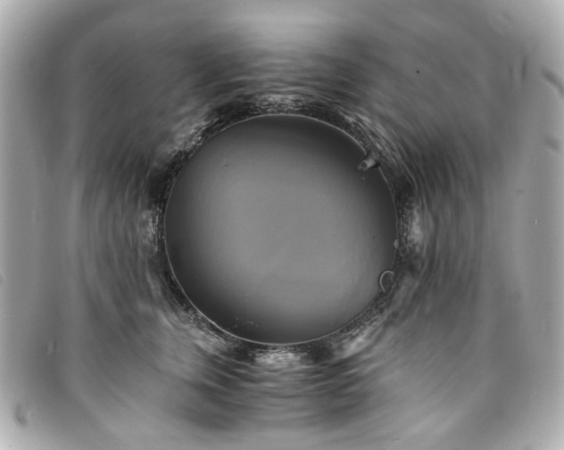 X0000094220759200710261229