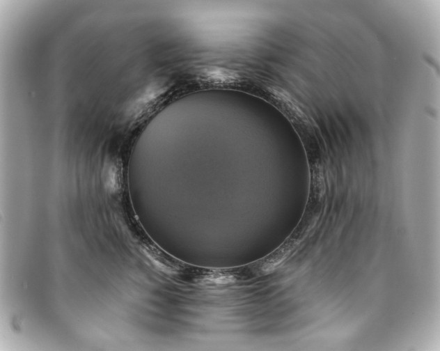 X0000094220760200710261229