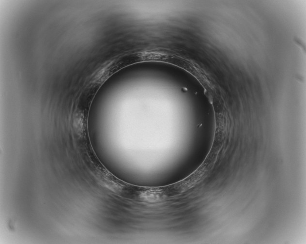 X0000094220761200710261230