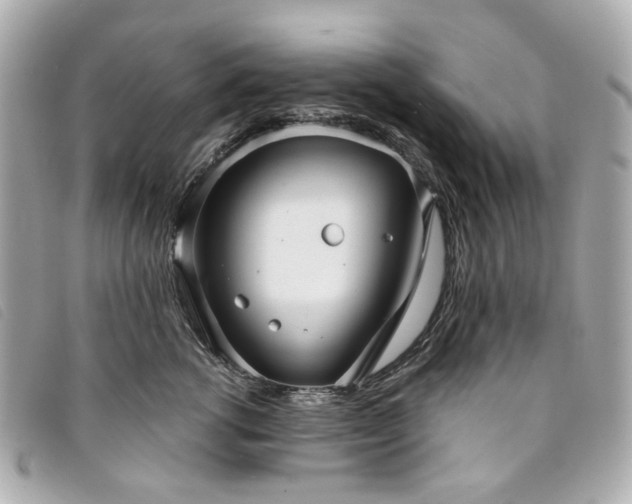 X0000094220762200710261230