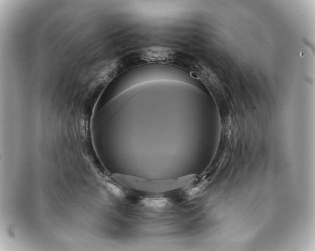 X0000094220763200710261230