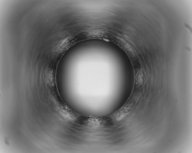 X0000094220764200710261230