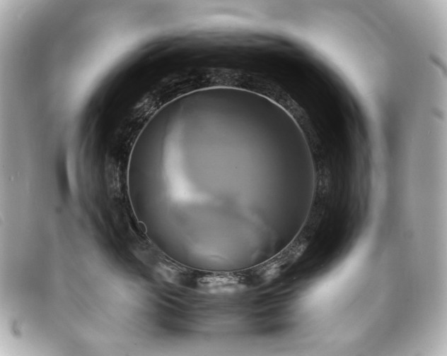 X0000094220765200710261230