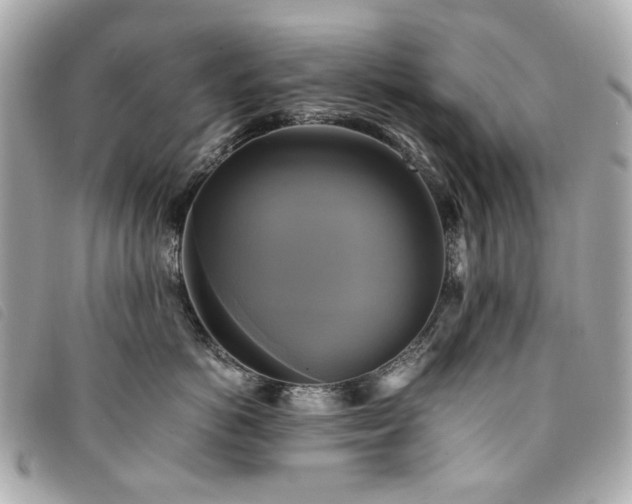 X0000094220766200710261230