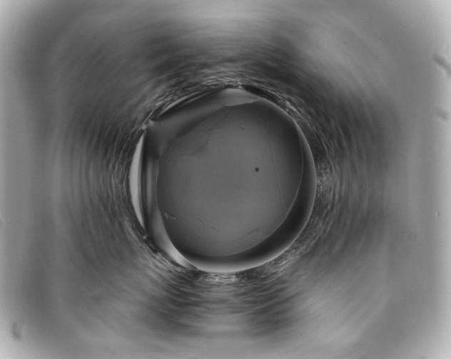 X0000094220767200710261230