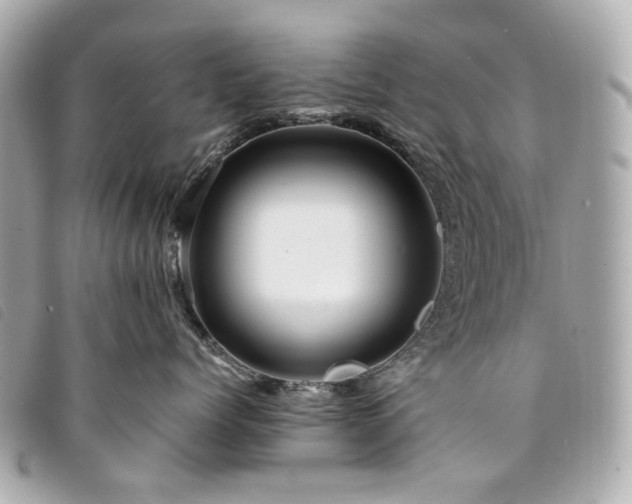 X0000094220768200710261230