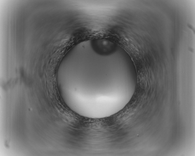 X0000094220769200710261229