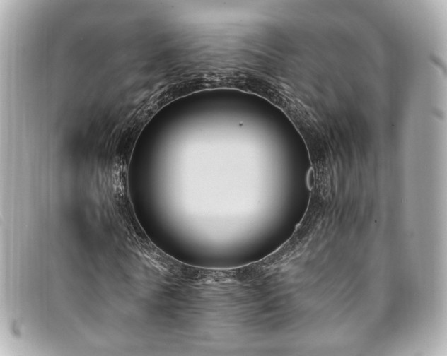 X0000094220770200710261229