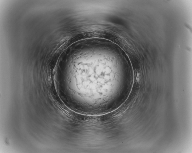 X0000094220771200710261229