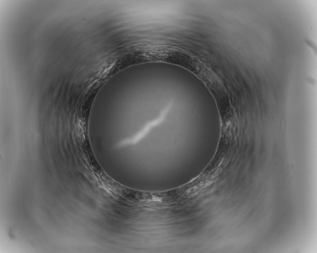 X0000094220772200710261229