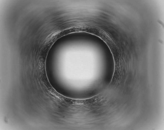 X0000094220773200710261229