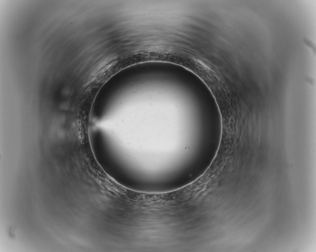 X0000094220774200710261229