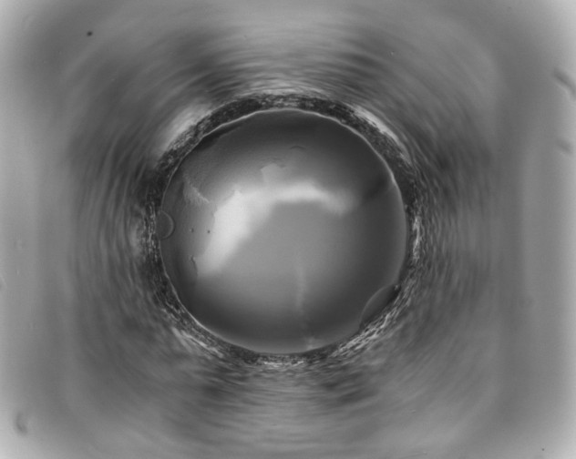 X0000094220775200710261229