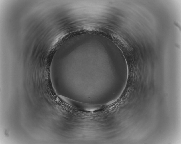 X0000094220776200710261229