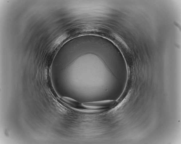 X0000094220777200710261229