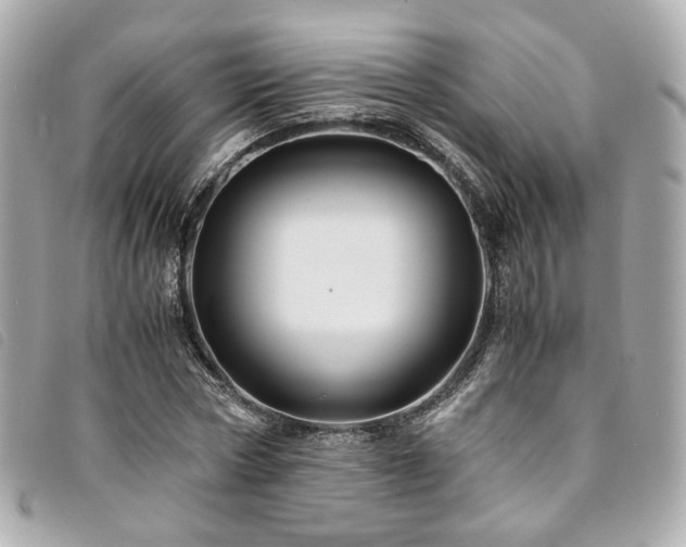 X0000094220778200710261229