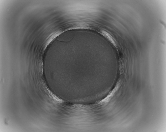 X0000094220781200710261229