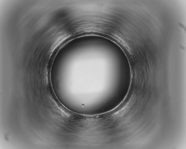 X0000094220782200710261229