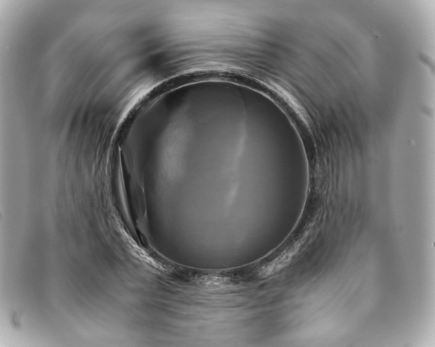 X0000094220783200710261229