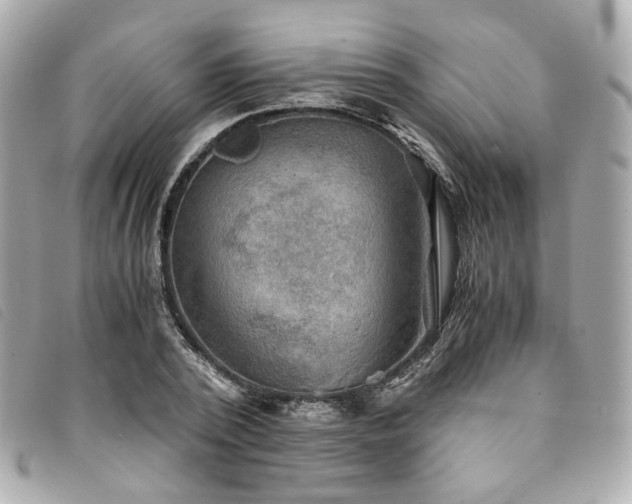 X0000094220784200710261229